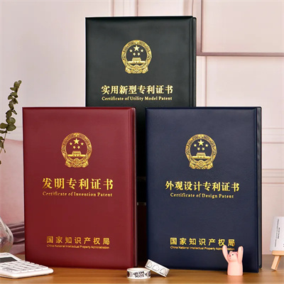 中國專利分類是什么