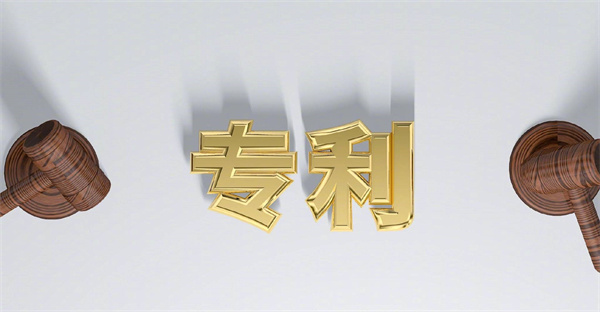 專利權(quán)利人可以有多少