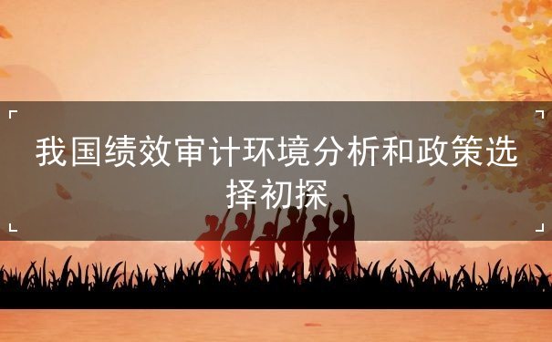 我國(guó)績(jī)效審計(jì)環(huán)境分析和政策選擇初探