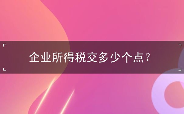 企業(yè)所得稅交多少個(gè)點(diǎn)？