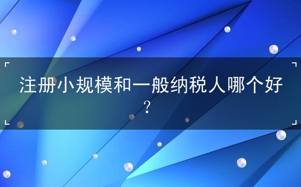 小規(guī)模和一般納稅人哪個(gè)好