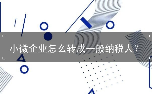 小微企業(yè)怎么轉(zhuǎn)成一般納稅人