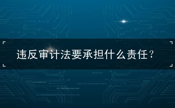 違反審計(jì)法承擔(dān)什么責(zé)任
