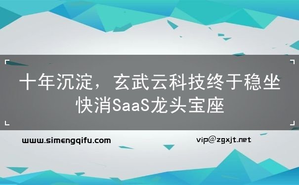 SaaS,科技,龍