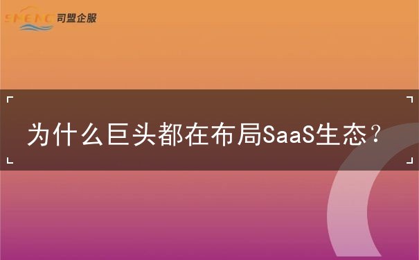 為什么巨頭都在布局SaaS生態(tài)？