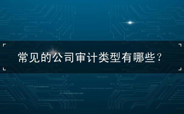 常見(jiàn)的公司審計(jì)的類型
