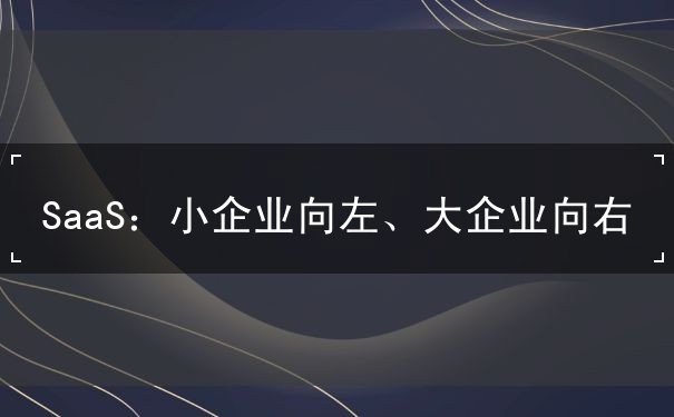 SaaS：小企業(yè)向左、大企業(yè)向右