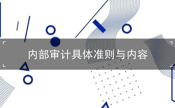 內(nèi)部審計(jì)具體準(zhǔn)則