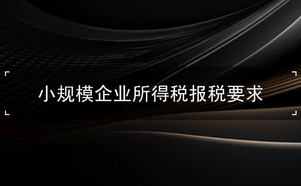小規(guī)模企業(yè)所得稅報稅要求