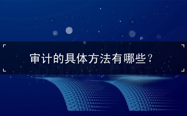 審計(jì)的具體方法