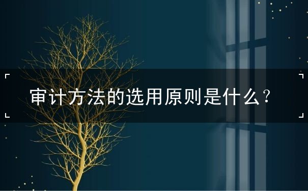 審計(jì)方法的選用原則是什么？