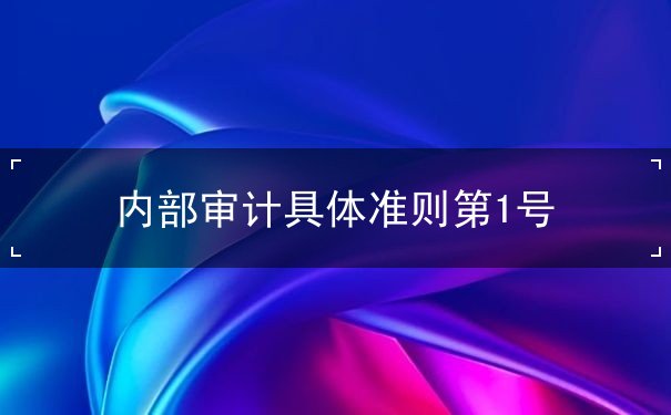 內(nèi)部審計具體準則