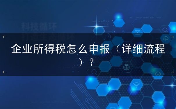 企業(yè)所得稅怎么申報(bào)