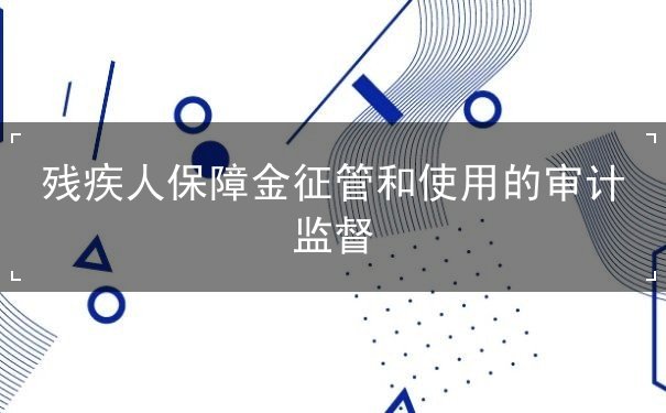 使用,審計(jì),監(jiān)督,征管,保障,強(qiáng)化,如何,殘疾人,管理,就業(yè)