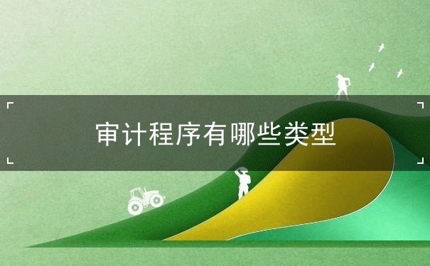 審計(jì)程序有哪些類型