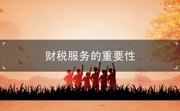 財(cái)稅服務(wù)的重要性