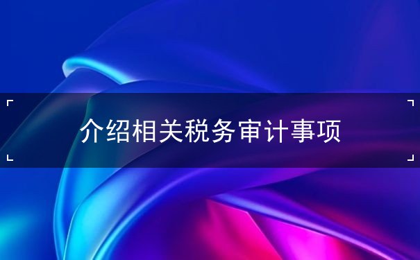 介紹相關(guān)稅務(wù)審計(jì)事項(xiàng)