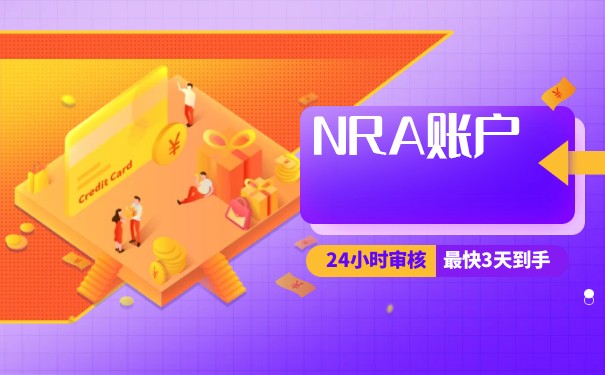 NRA是一個國內(nèi)賬戶