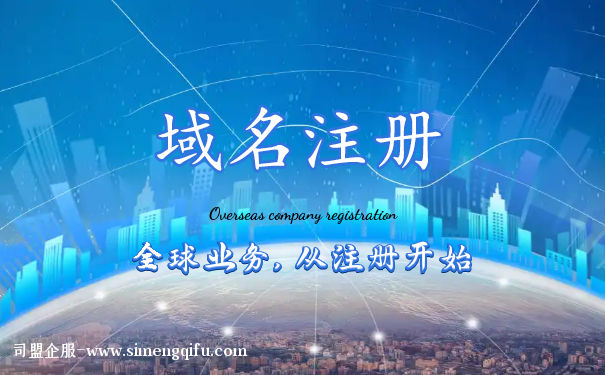 域名注冊公司的流程