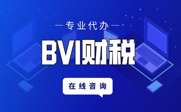 探討B(tài)VI離岸公司的隱私保護(hù)和稅收優(yōu)勢(shì)